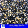 Frozen mussels meat with half shell